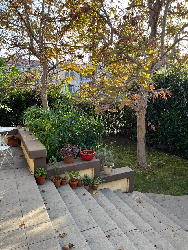 Foto del edificio - 504 N Heliotrope Dr
