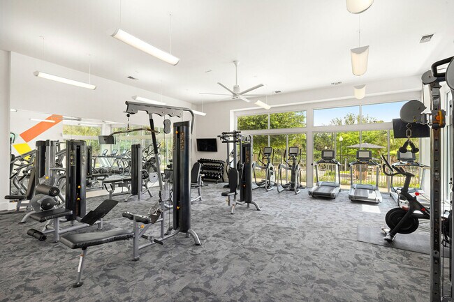 Gimnasio abierto las 24 horas para entrenamiento cardiovascular y de fuerza - Bexley 3FIVE