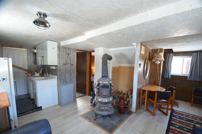 Foto del edificio - 20 Minutes to Breckenridge! Wood burning f...