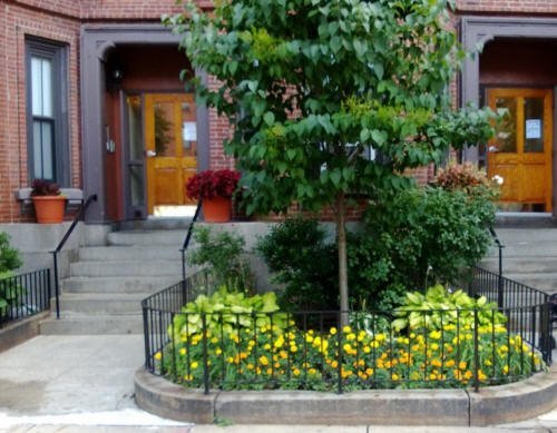 Building Photo - 342 Shawmut Ave