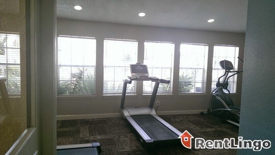 Foto del edificio - 101 Hollow Tree Ln