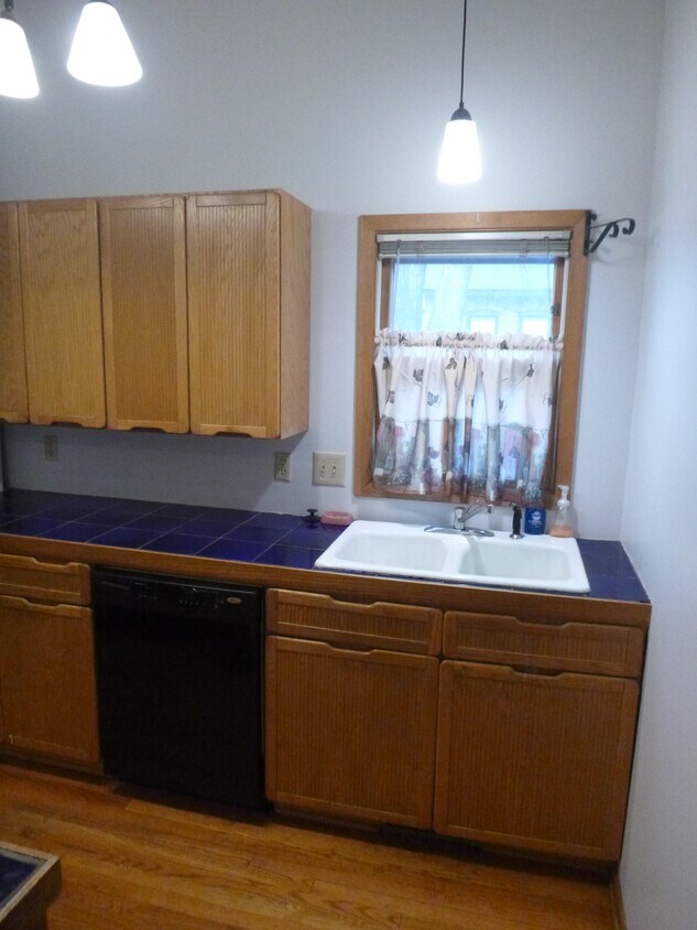 kitchen sink - 2208 Milwaukee Ave