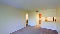 This single-floor space features an open-concept layout that seamlessly connects the main living area to the kitchen. The living area is finished with neutral-toned carpet and light-colored walls, creating a clean and airy atmosphere. A textured ceiling adds subtle character overhead, while HVAC vents are integrated throughout for consistent climate control.

The kitchen is positioned adjacent to the living space and is accessible via a pass-through counter that enhances the open feel. It is equipped with warm wood-toned cabinetry, a white electric range, and a functional under-cabinet range hood. The kitchen floor transitions to a lighter hard surface, distinguishing it from the carpeted living area. Counter space appears generous, supporting everyday meal preparation.

A doorway visible from the living area leads to a hallway providing access to additional rooms, including what appears to be a bathroom with standard fixtures. White trim and door frames throughout contribute to a cohesive, understated aesthetic. Natural and overhead lighting brighten the space, making it feel welcoming and functional overall.