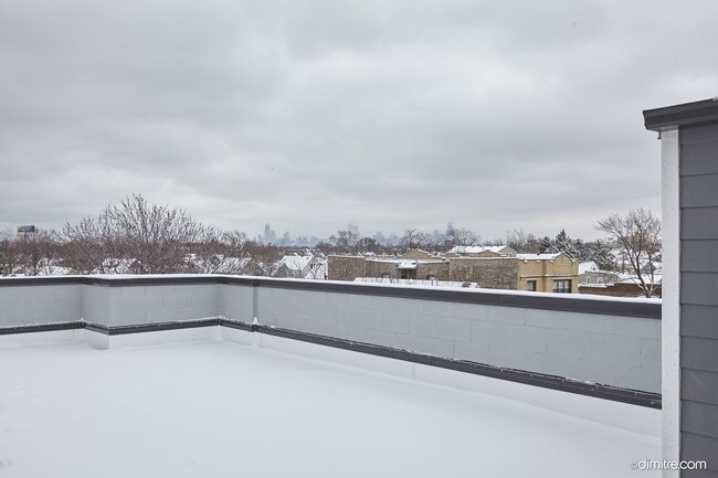 Terraza en la azotea - 3116 N Central Park Ave