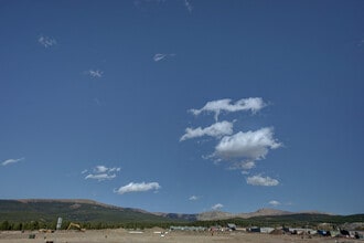 Building Photo - 1305 Poplar St