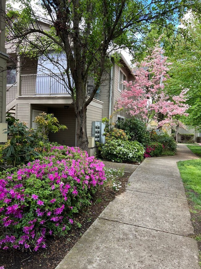 Building Photo - 3163 Juniper Ridge Dr