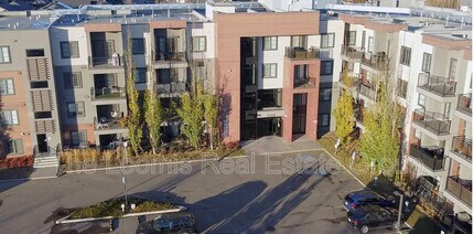 Building Photo - 1004 Rosenthal Blvd