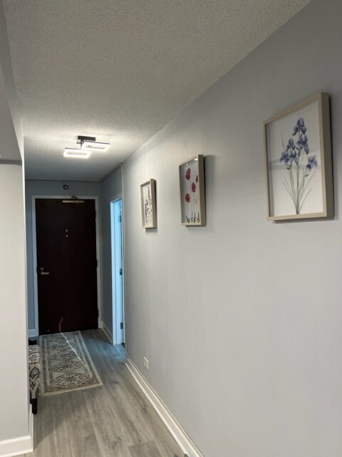 Hallway Entrance - 440 N Wabash Ave