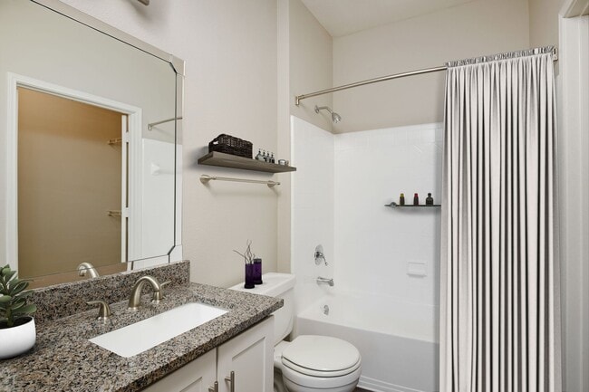 Designer Bathrooms - Signature Place Apartments