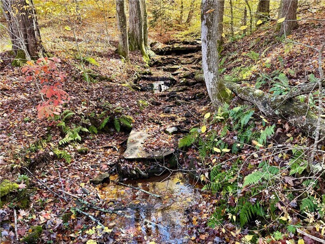 Foto del edificio - 221 Centennial Farm Ln