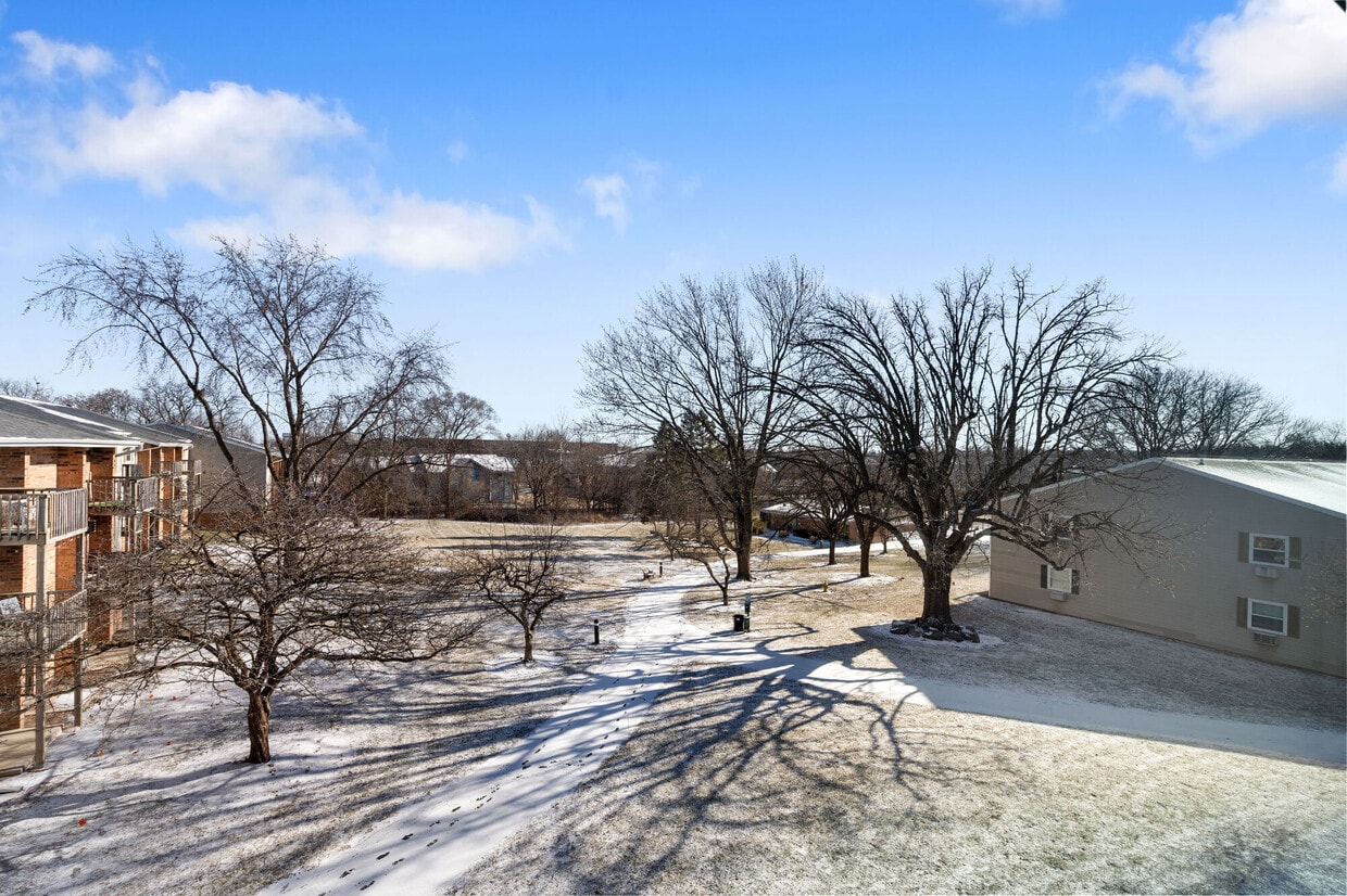 Primary Photo - Springdale Apartments