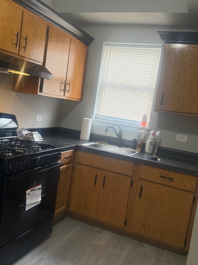 Photo - 6223 S Major Ave (Chicago, IL) Apartment