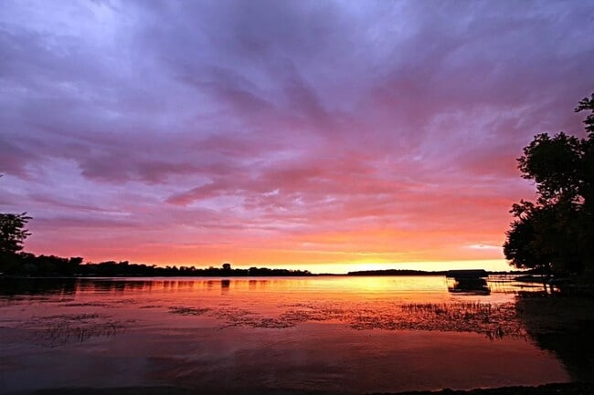 Building Photo - Minnetonka Lakeshore!