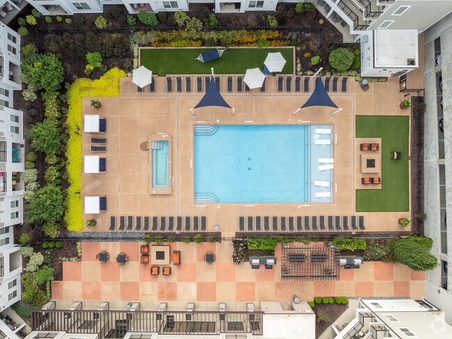 Pool - Arrive Brentwood I Apartments