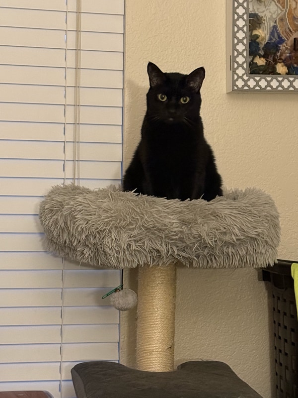 Building Photo - 8653 Danridge Dr