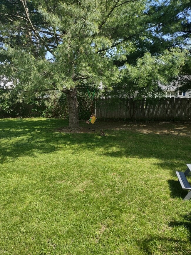 Large backyard for residents' use - 81 Fairmont Pl