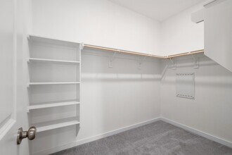 Building Photo - 3009 Waterwood Pass Dr