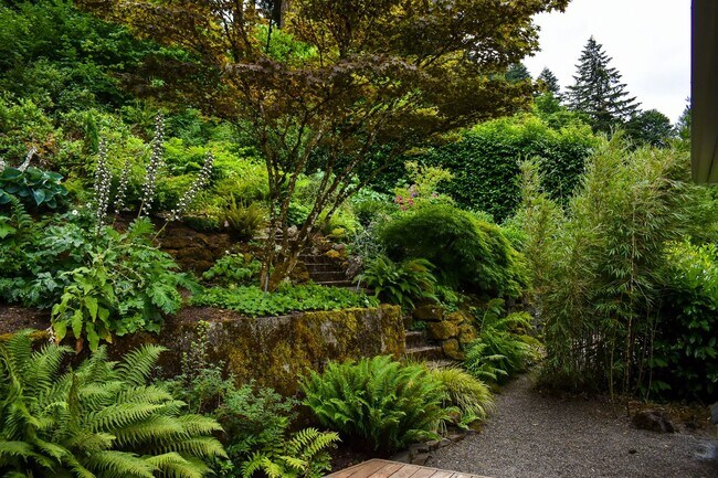 Foto del edificio - Three bedroom and Two Bathroom home in Portland Heights! Gourmet Kitchen and incredible natural L...