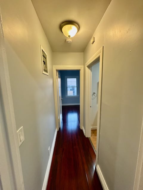 Foto del edificio - 1116 E Lexington Dr