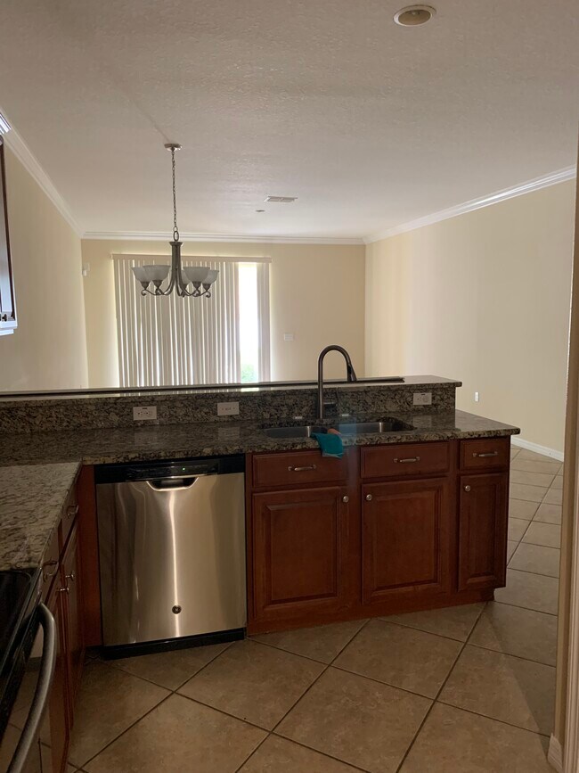 9533 Trumpet Vine Loop, Trinity, FL 34655 Townhome Rentals in Trinity FL