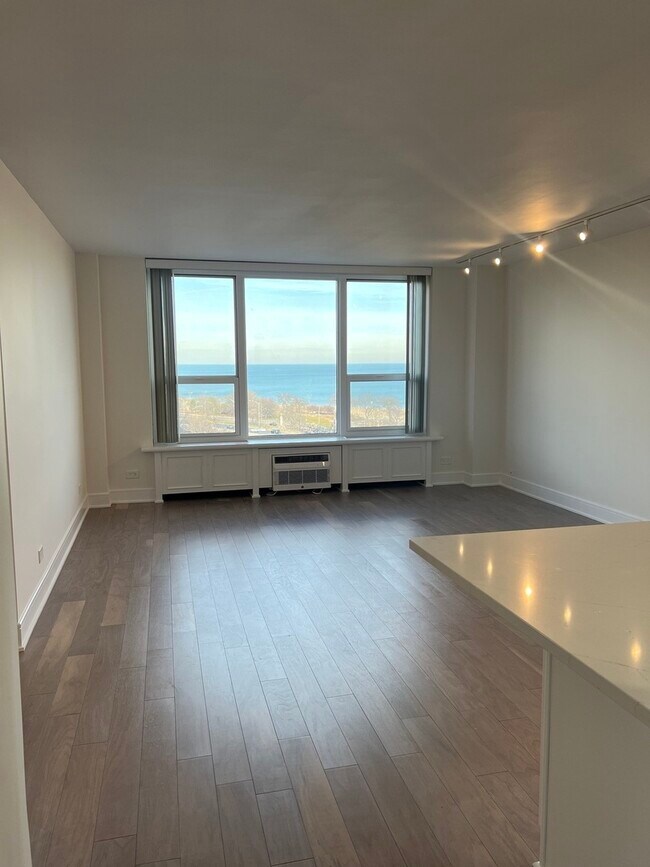 Foto del edificio - 1550 N Lake Shore Dr