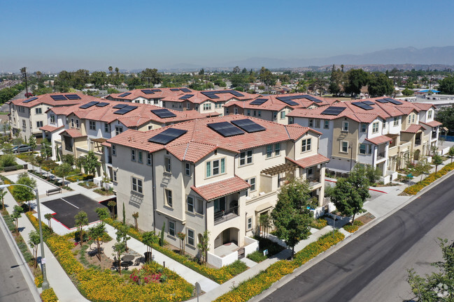 Building Photo - Dahlia Townhomes