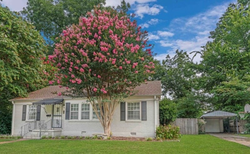 Photo - 2766 Union Ave (Memphis, TN)