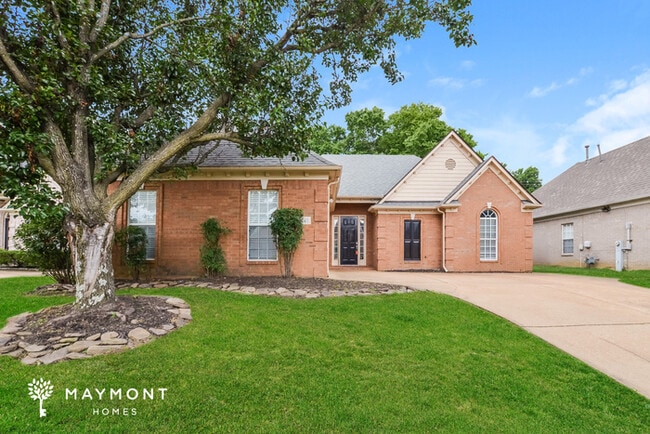 Building Photo - 8441 Shady Elm Dr