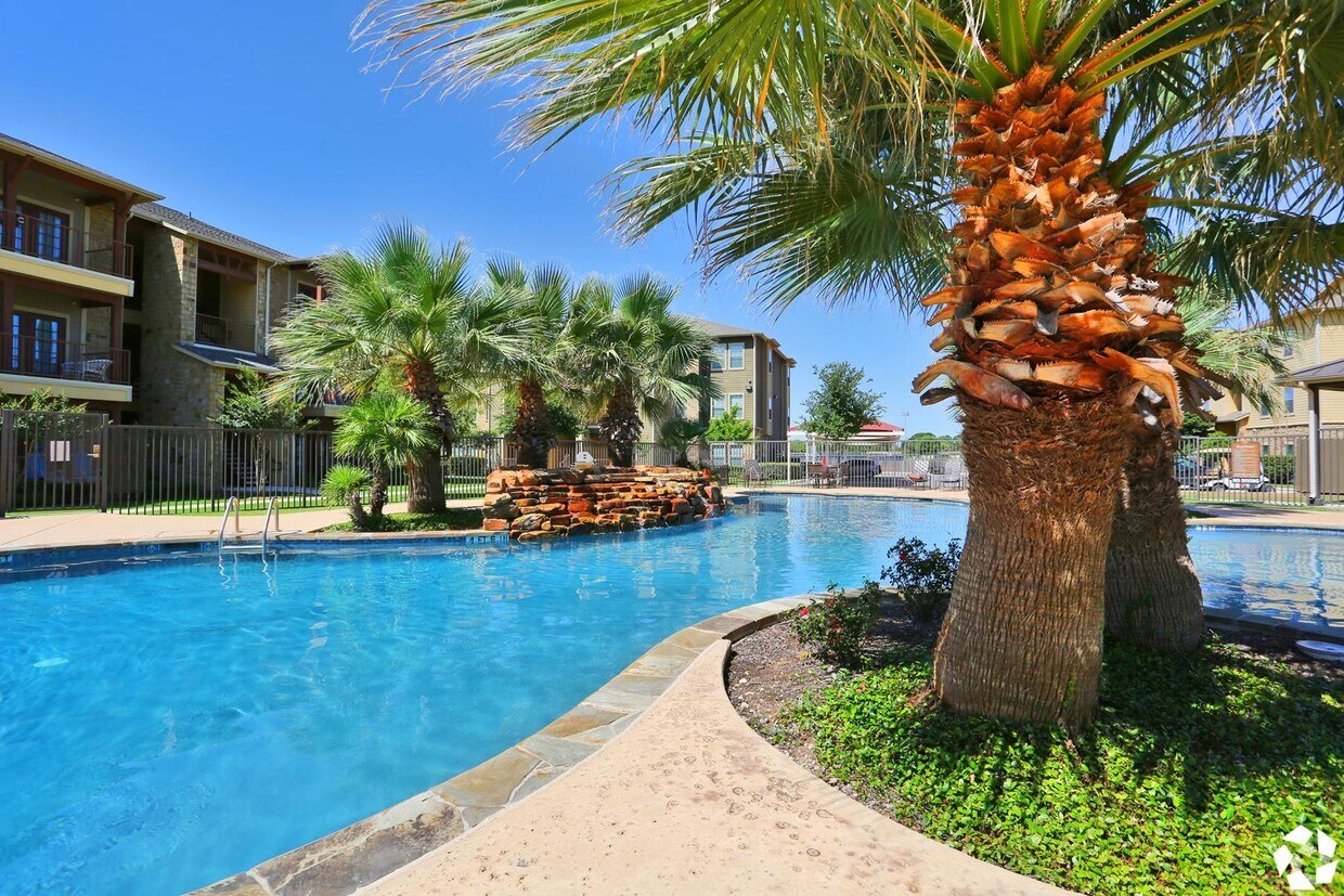 Primary Photo - The Palmera on 3009