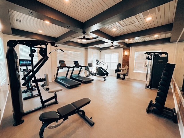 Gimnasia - Odyssey at Mallette Gardens