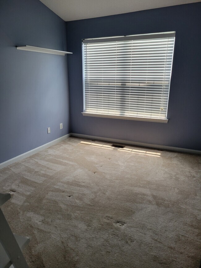 1st Master Bedroom - 8202 Catbird Cir