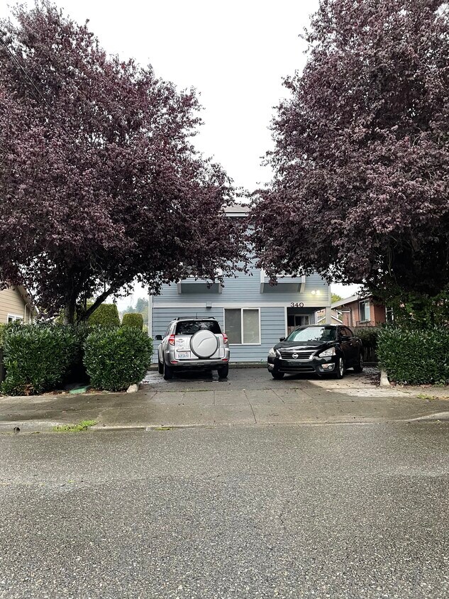 340 Meadow Ave N Unit C, Renton, WA 98057 Apartments in Renton, WA