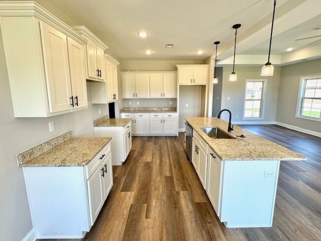 Building Photo - Beautiful Brand New 4BR Home in Stonebriar...