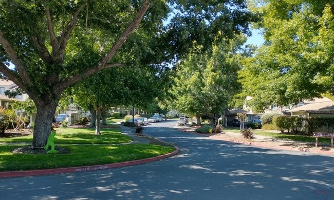 Street view - 118E Oliva Ct