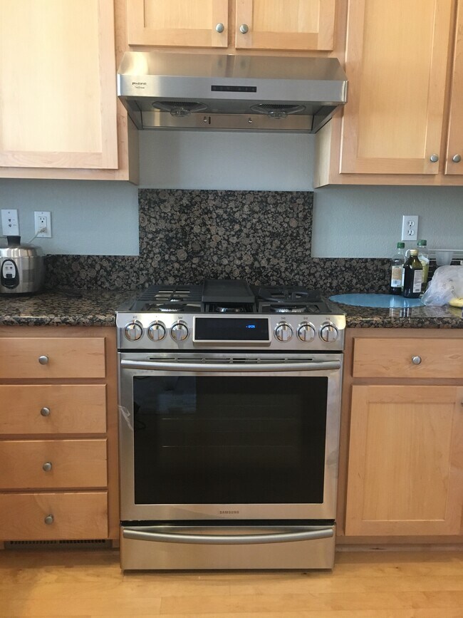 Upgraded kitchen range - 757 Seneca Ter