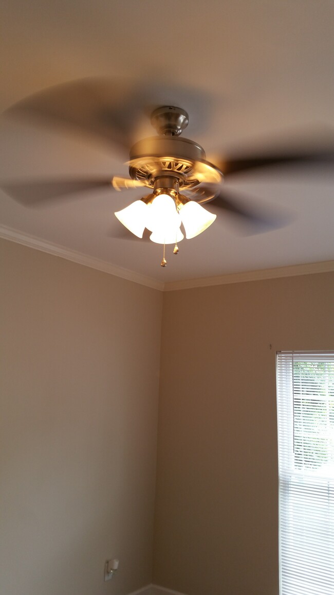 Ceiling fans in all units - 253 W Smith St