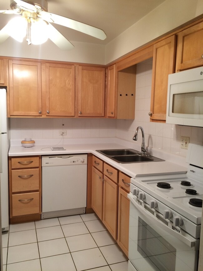 8454 W Catalpa Ave Unit 10, Chicago, IL 60656 Condo for Rent in