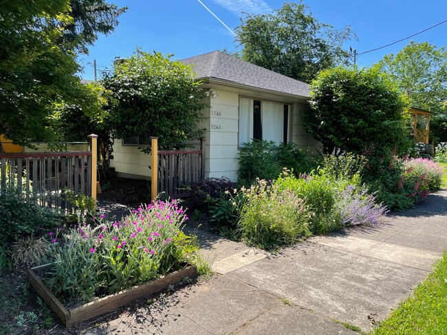 CURFN01 - CURFN01 Apartment