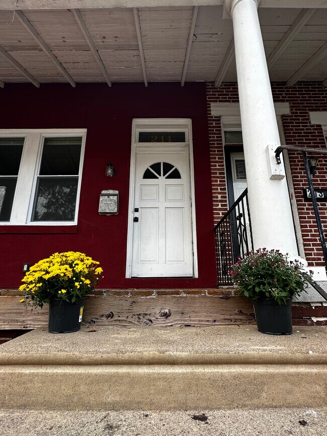 Mums for Fall! - 211 Buttonwood St
