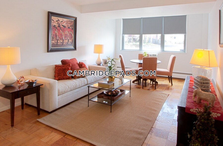 Primary Photo - 205 Walden St.