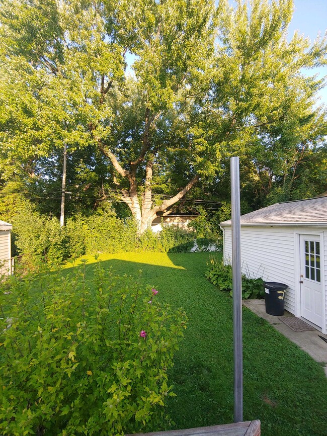 Patio interior - 3904 Linwood Ave