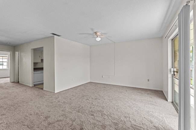 One Bedroom - Falcon House