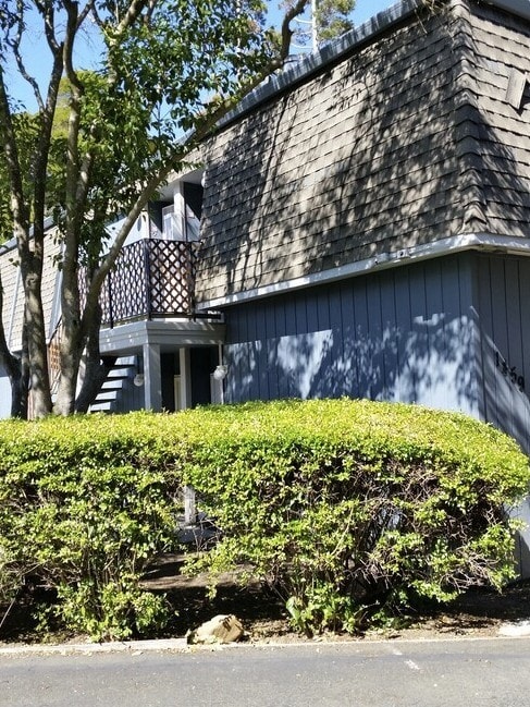 Building Photo - 1459 N Camino Alto