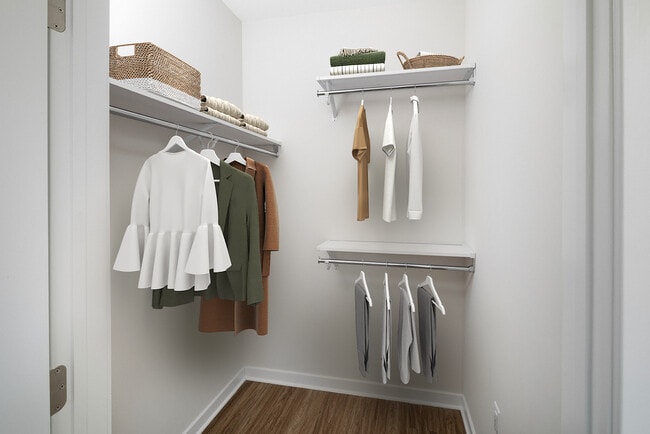 Walk-in closet - Avalon Wayne