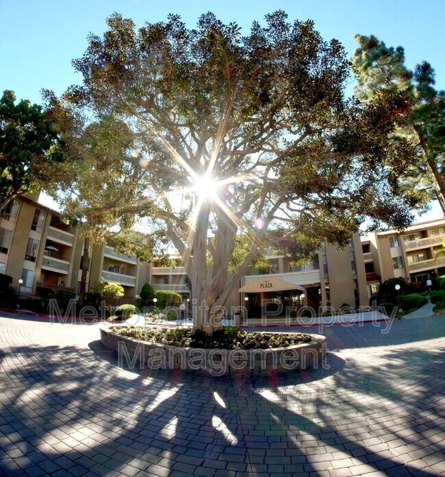 4600 Lamont St Unit 4118, San Diego, CA 92109 Condo for Rent in San