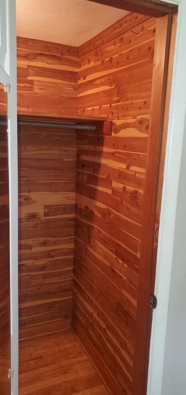 Cedar master walk in closet - 4206 Anderson Pike