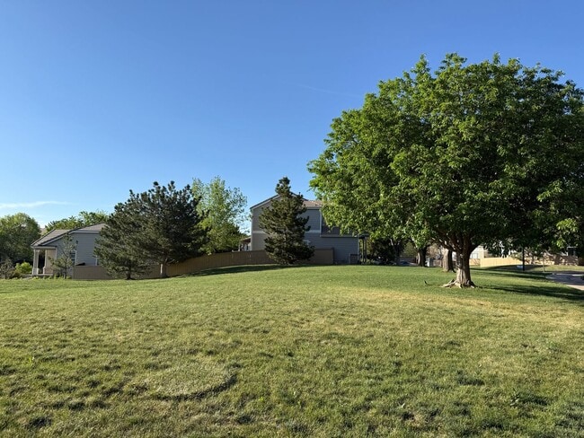 Photo - Remodeled home backs to open space!