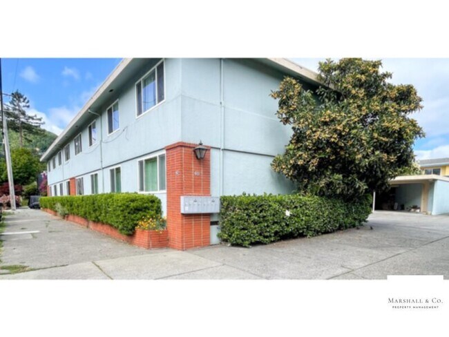 Foto del edificio - NEW LISTING! Walk 1 Block To Downtown! Sec. Deposit lowered! LG. 1 BR/1BA, Hdwd Flrs,Big Walk-In Clo