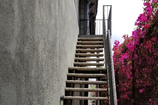 Stairs - 2470 Daly St