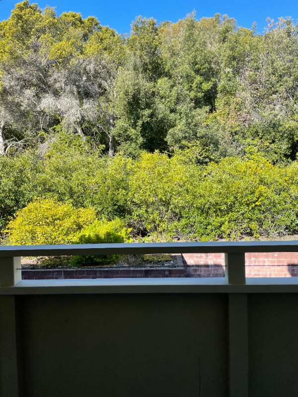 Foto del edificio - 3224 Palos Verdes Ct